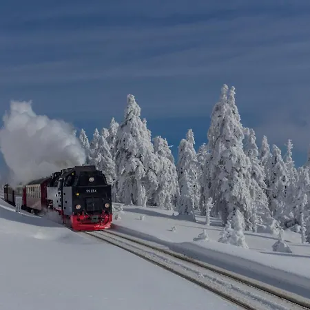 Fewo Wanderlust #Innenstadt#Aussenbereich#Ruhige Lage Von Harztraveler Wernigerode Exterior photo